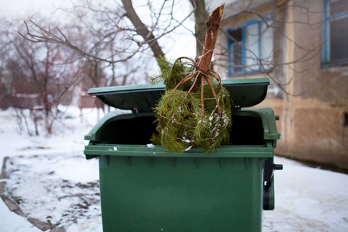 How to Recycle Your Tree After the Holidays